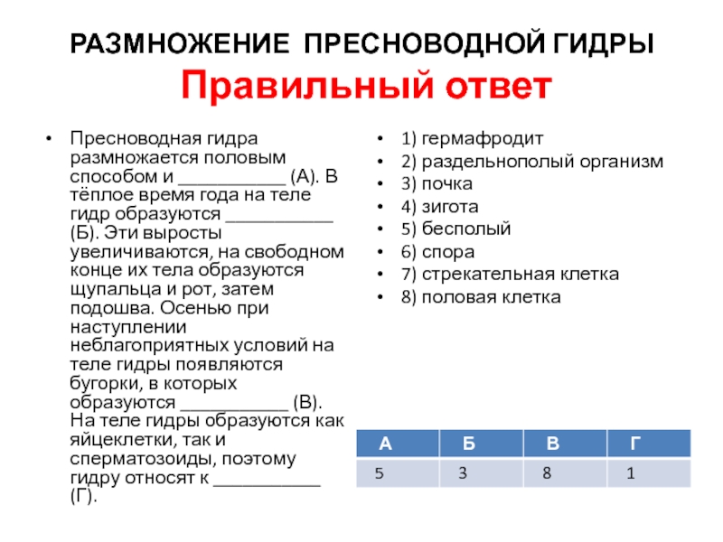 Вход в кракен